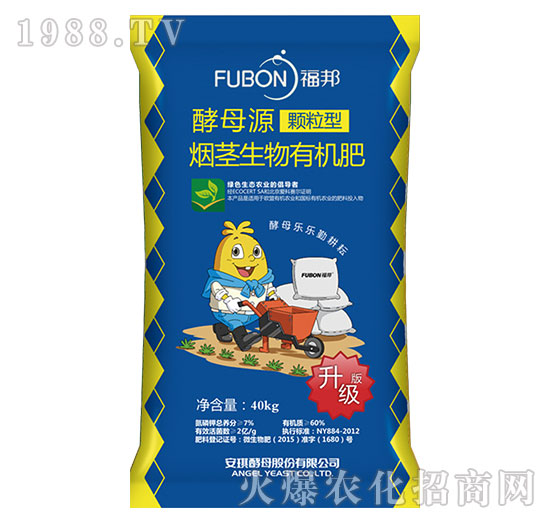 ���o�����ЙC��-����w����-����