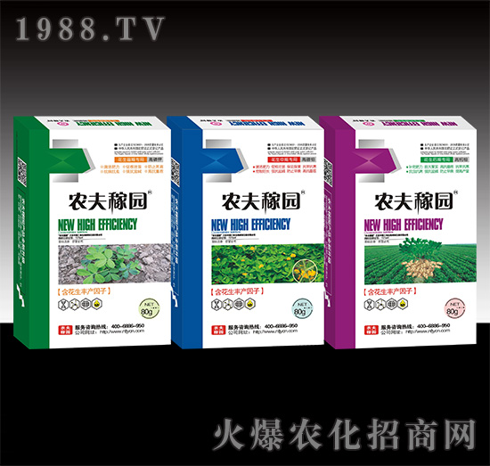 ��������ˎ-�r��ڈ@