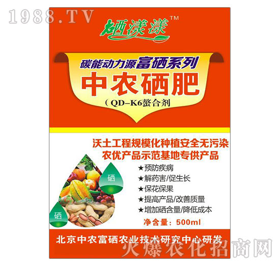 ���r����-�ڼژ�-���rӿ��