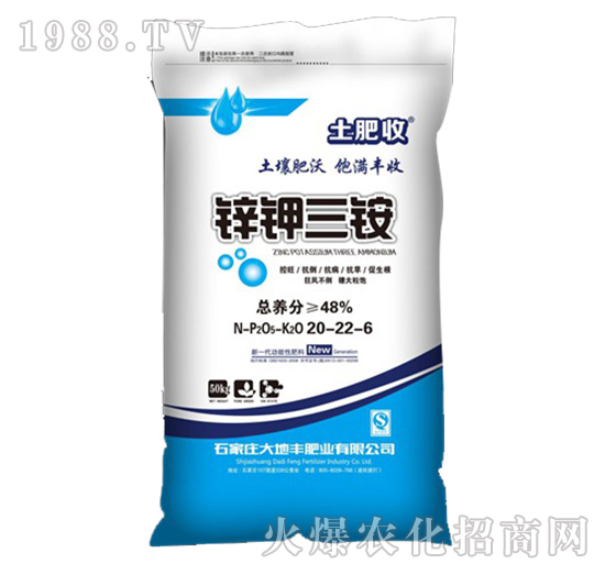 �\�����20-22-6-����S