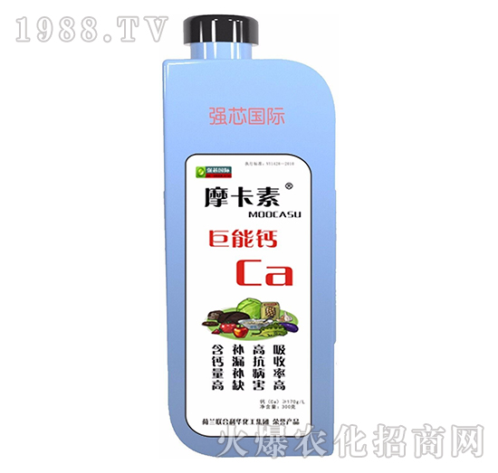 �����}-Ħ����-��(qi��ng)о��(gu��)�H