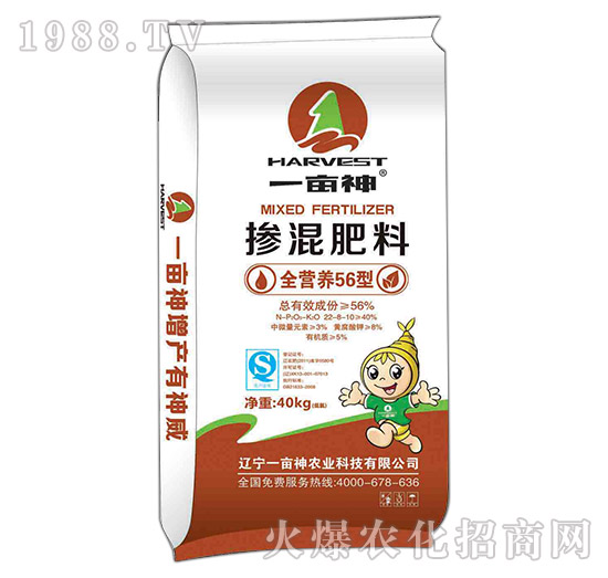 ȫ�I(y��ng)�B(y��ng)56�͓������22-8-10-һ����