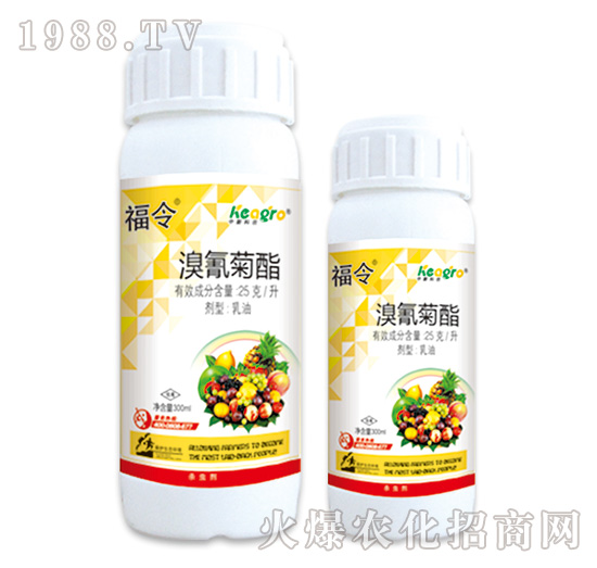 25��ÿ��-����-���¿��r