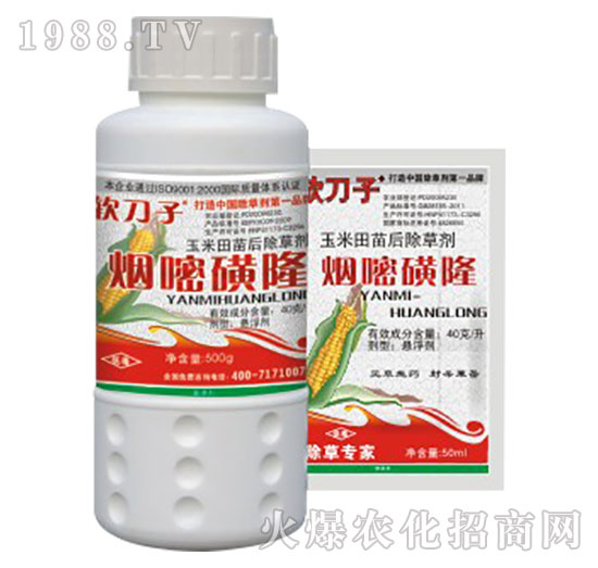 4%���׻�¡-�f���t-�G��