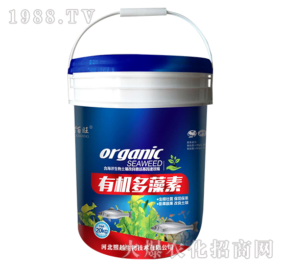 �ЙC(j��)������-������-��Խ����