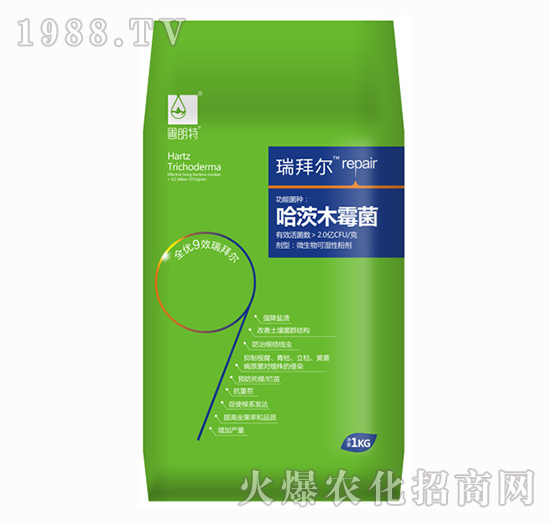 ����ľù��-��ݠ�-������