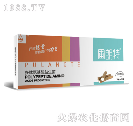 ɽˎ����-���İ�����������-������