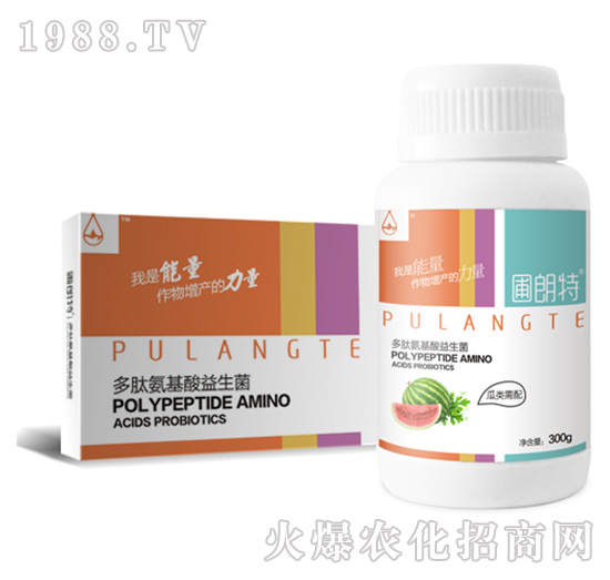 �������-���İ�����������-������