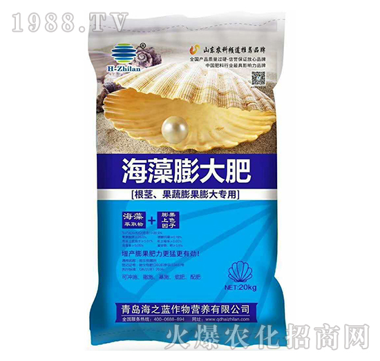 ��������-��֮�{(l��n)