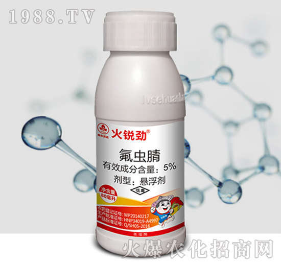 5%���x��-���J��-�к����_