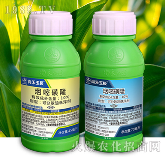 10%���׻�¡-�к���O-�к����_(d��)