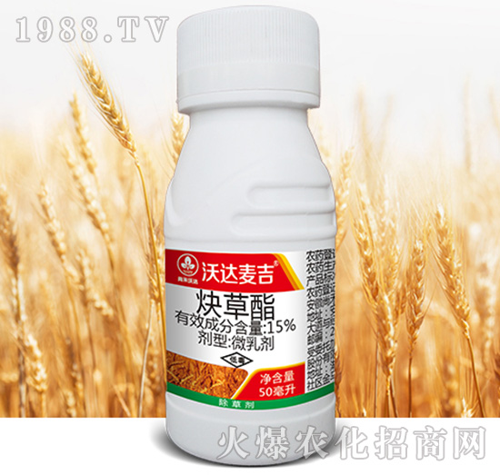 15%Ȳ����-���_(d��)����-�к����_(d��)