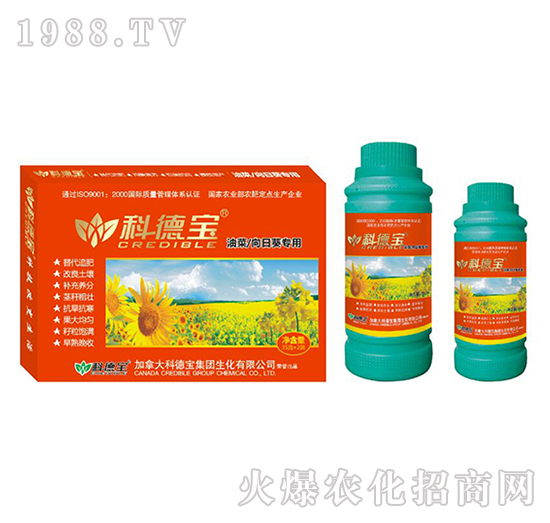 �Ͳ������տ����àI�B(y��ng)���a(ch��n)�{(di��o)�턩-�Ƶ�