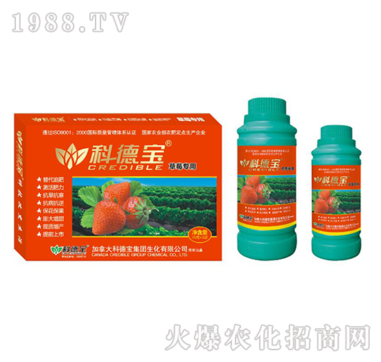 ��ݮ���àI(y��ng)�B(y��ng)���a(ch��n)�{(di��o)�턩-�Ƶ�