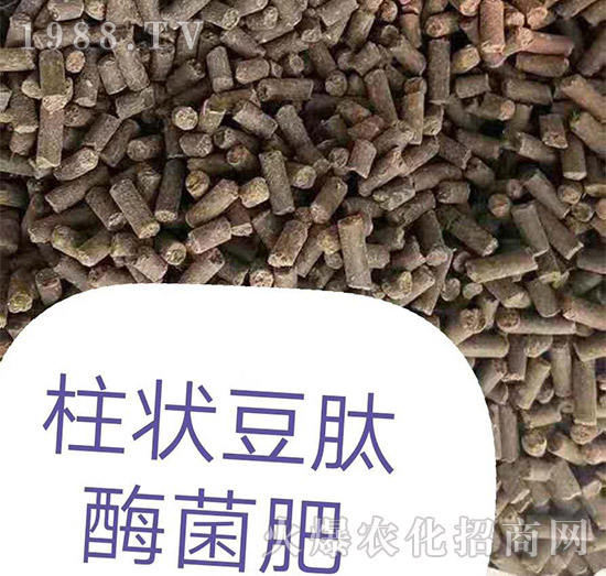 �����ø����