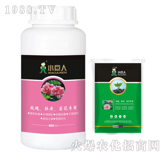 õ����ĵ�����ջ������{(di��o)��(ji��)��-С����