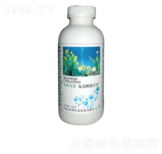 ���ĺ��������}-�fȪ�r(n��ng)��