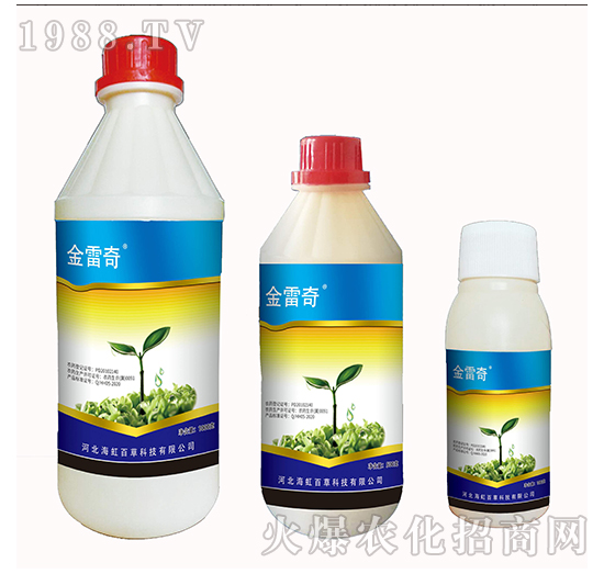 21%�^������-������-����ٲ�