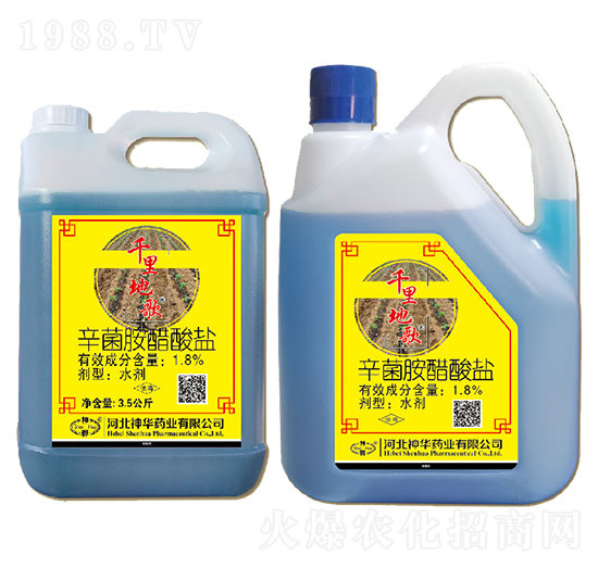 1.8%�����������}-ǧ��ظ�-���A