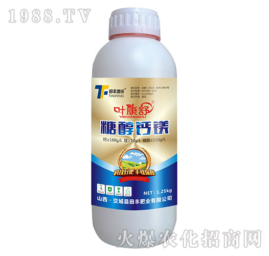 �Ǵ��}�V-�~����-���S����