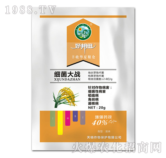 ��(x��)�����(zh��n)-�ð���-��T����