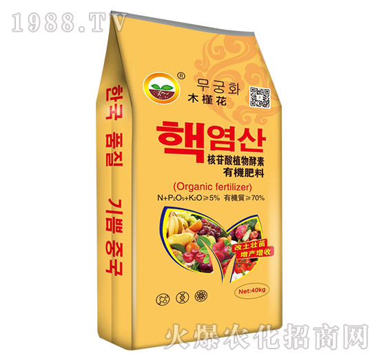 ������ֲ�����-�ЙC����-����