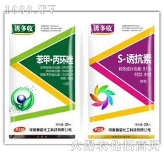 ���ס����h(hu��n)��+S-�T����-�T����-ِ�Z����