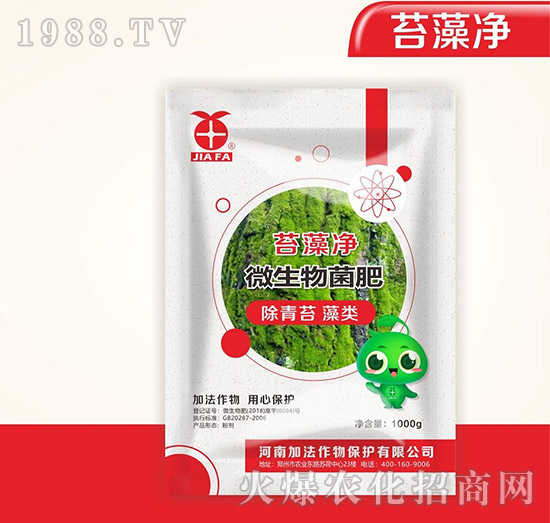 ΢�������-̦���-�ӷ�����