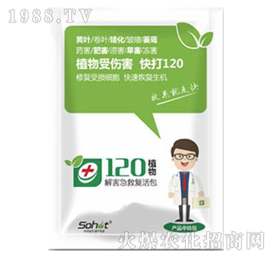 �⺦���ȏ�(f��)���-ֲ��120-���A����(l��)