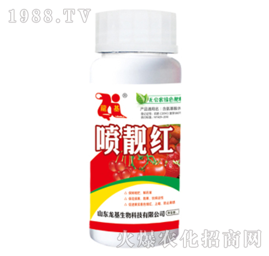 ���n�t-��������