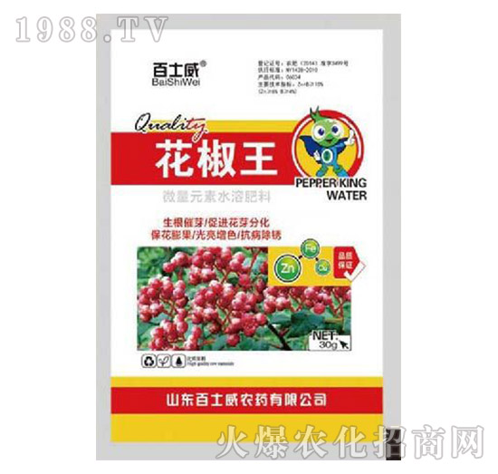 ������-��ʿ��