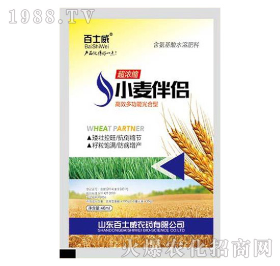 С����H-��ʿ��