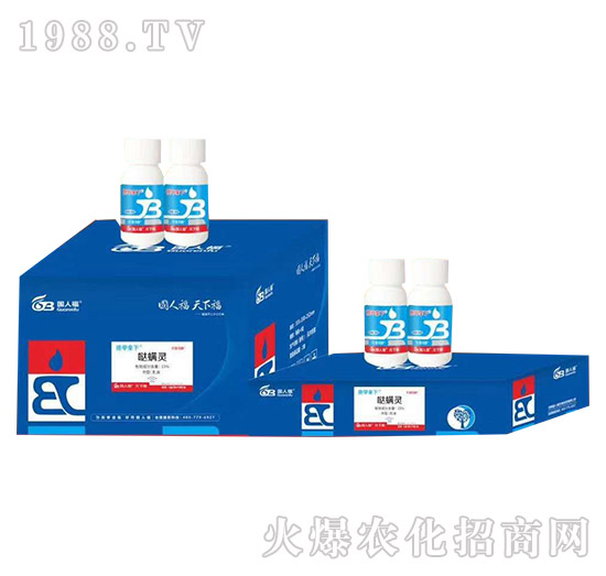 ���׌���ˎ-��������-��(gu��)�˸�