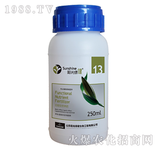 �����͠I�B(y��ng)��-����-13-ꖹ�G��