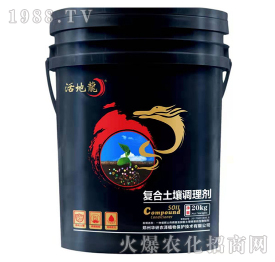 �ͺ������{�턩-�����-��������