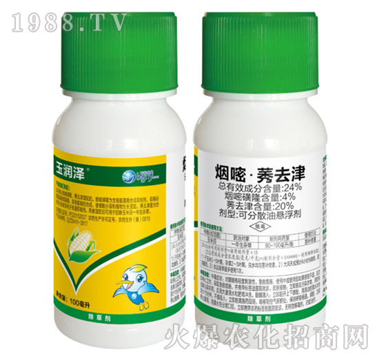 24%���ס�ݬȥ��-�񝙝�-��������