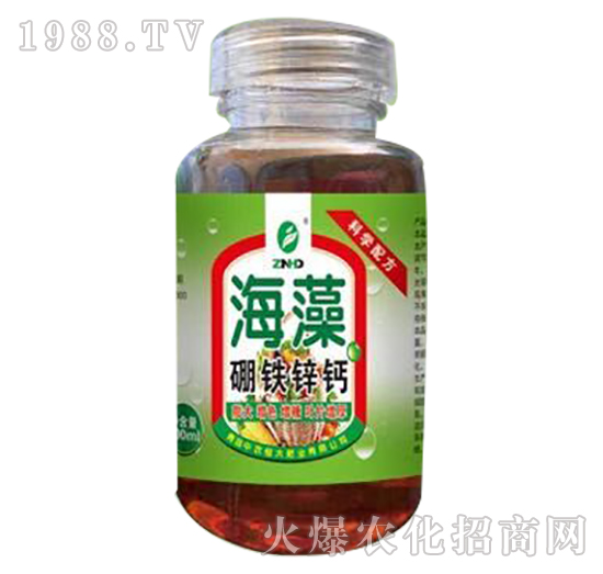 �������F�\�}-���r(n��ng)���