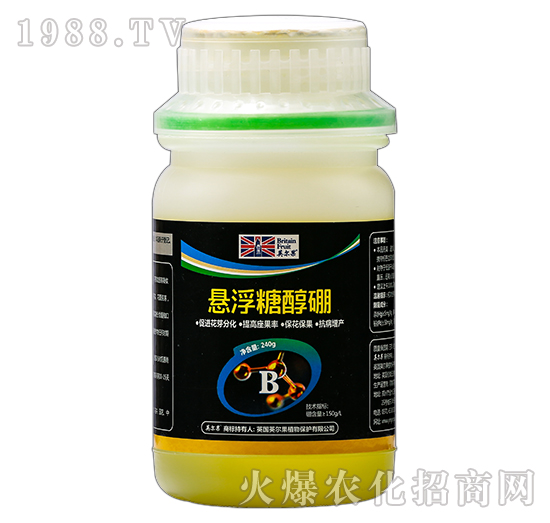 �Ҹ��Ǵ���-Ӣ����