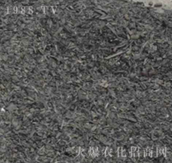 �ն�̿-���f���r(n��ng)�I(y��)