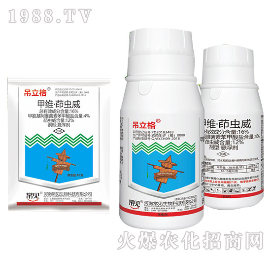 16%�׾S���x��-������-��Ҋ����