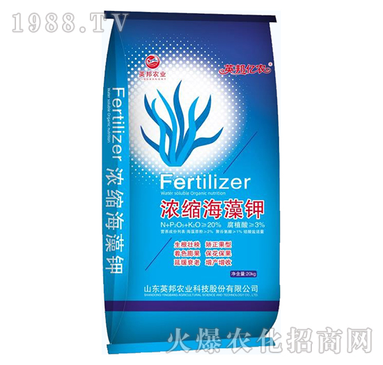 ��s�����-Ӣ��