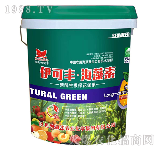 ̼ø������������-�����S��������-����