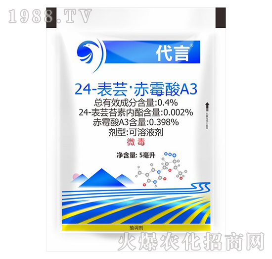 24-���|����ù��A3-����-�P��D