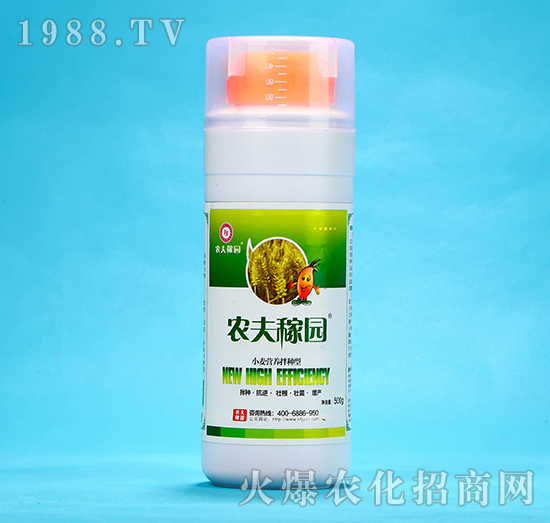 С���I�B(y��ng)��N��-�r��ڈ@