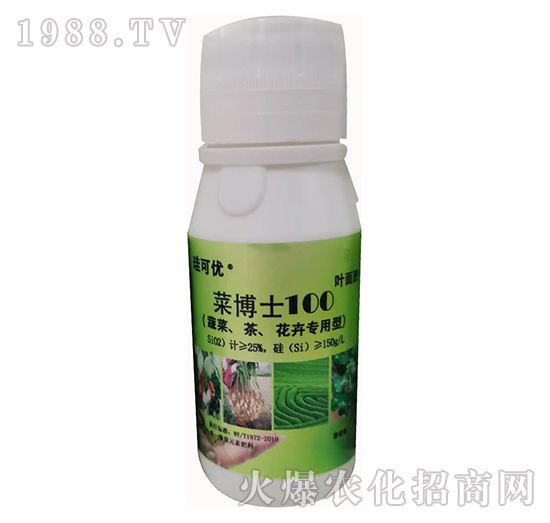 �˲�ʿ100���߲����������܌��ã�-���Ƀ�(y��u)-��Ɔ���