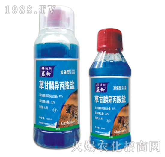 41%�ݸ�좮������}-�{(l��n)�z-�ݵ�˹