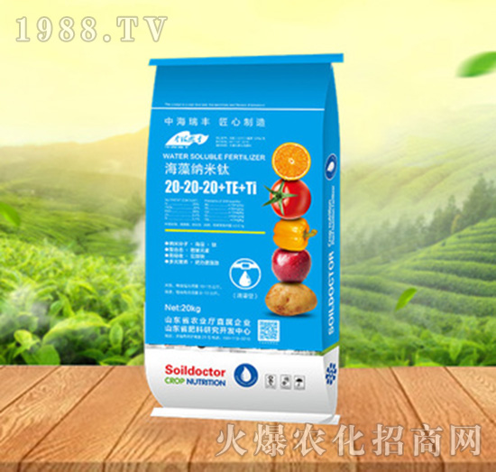 ����{����20-20-20+TE+Ti-���ԁ��(l��)