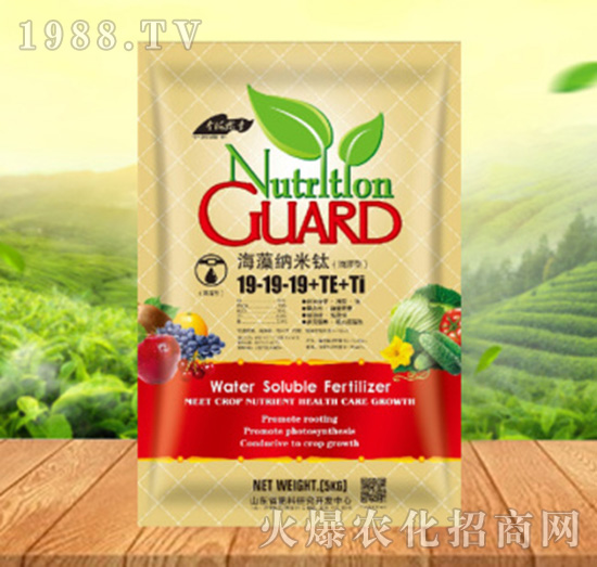 ����{����19-19-19+TE+Ti������-���ԁ��(l��)