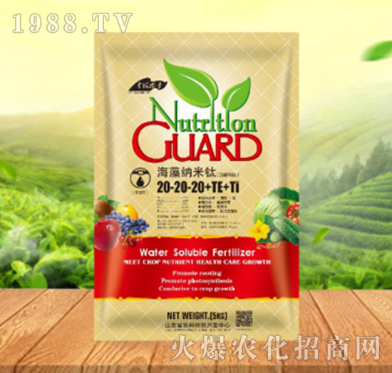 ����{����20-20-20+TE+Ti������-���ԁ��