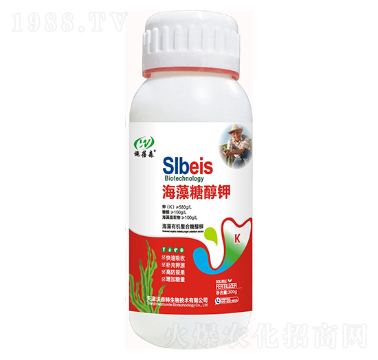 �����Ǵ��-ʩ��ɭ-��ɭ��